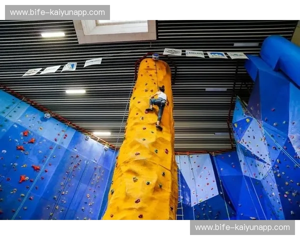 攀岩锦标赛:挑战极限,拥抱勇气与美学 攀岩锦标赛:挑战极限,拥抱勇气与美学